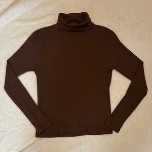 Brown Turtleneck